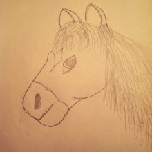 George Washington's horse. 