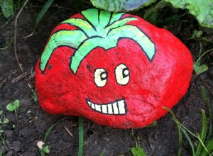 tomato rock
