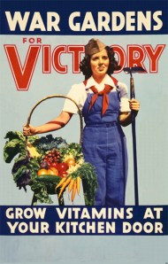victory_garden-1-954x1500